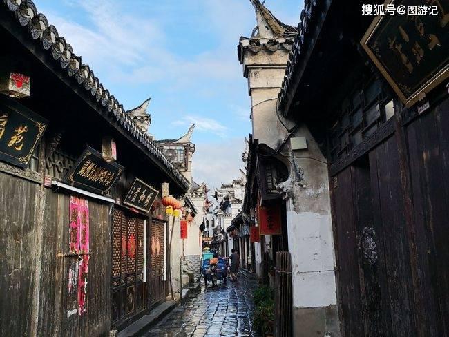 动物帮帮忙保卫家园